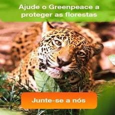 Greepeace