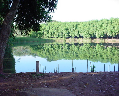 Bebedouro onde visitar