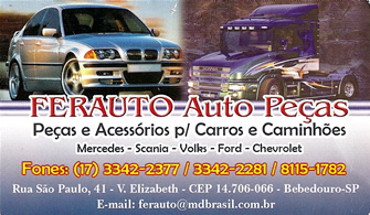 FERAUTO Comércio de Auto Peças Bebedouro SP