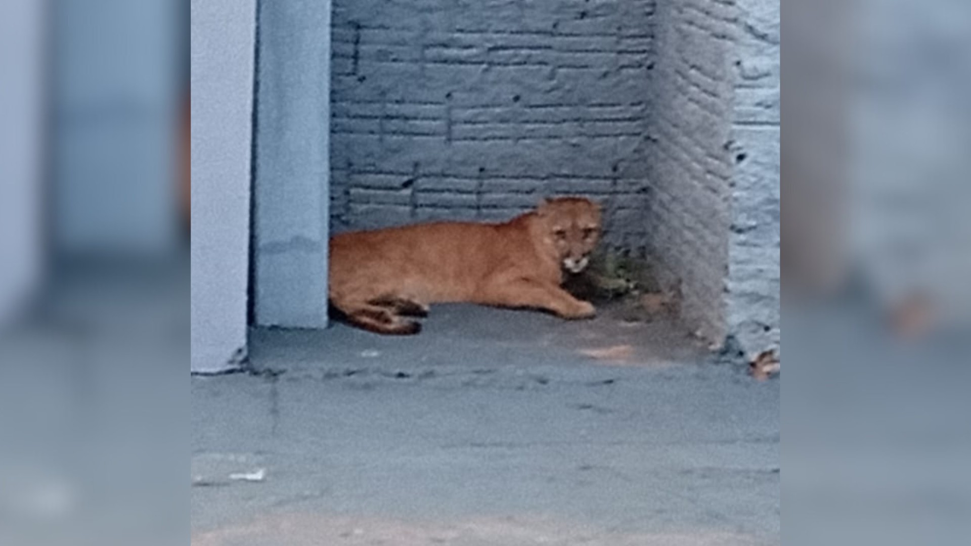 foto Notícia Bebedouro