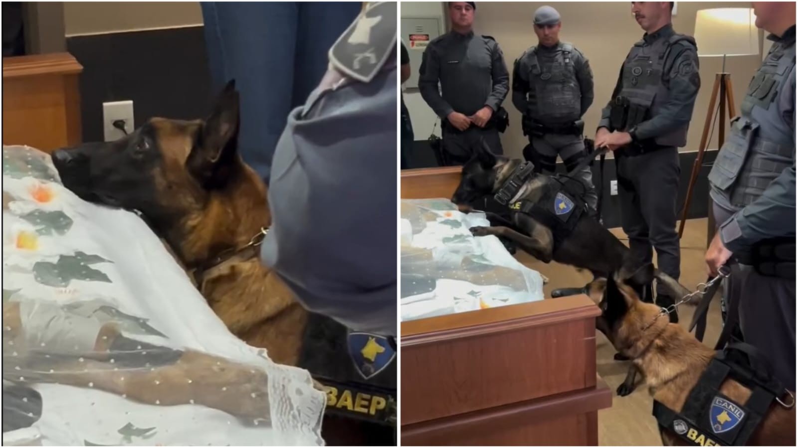 foto Not&iacute;cia Bebedouro