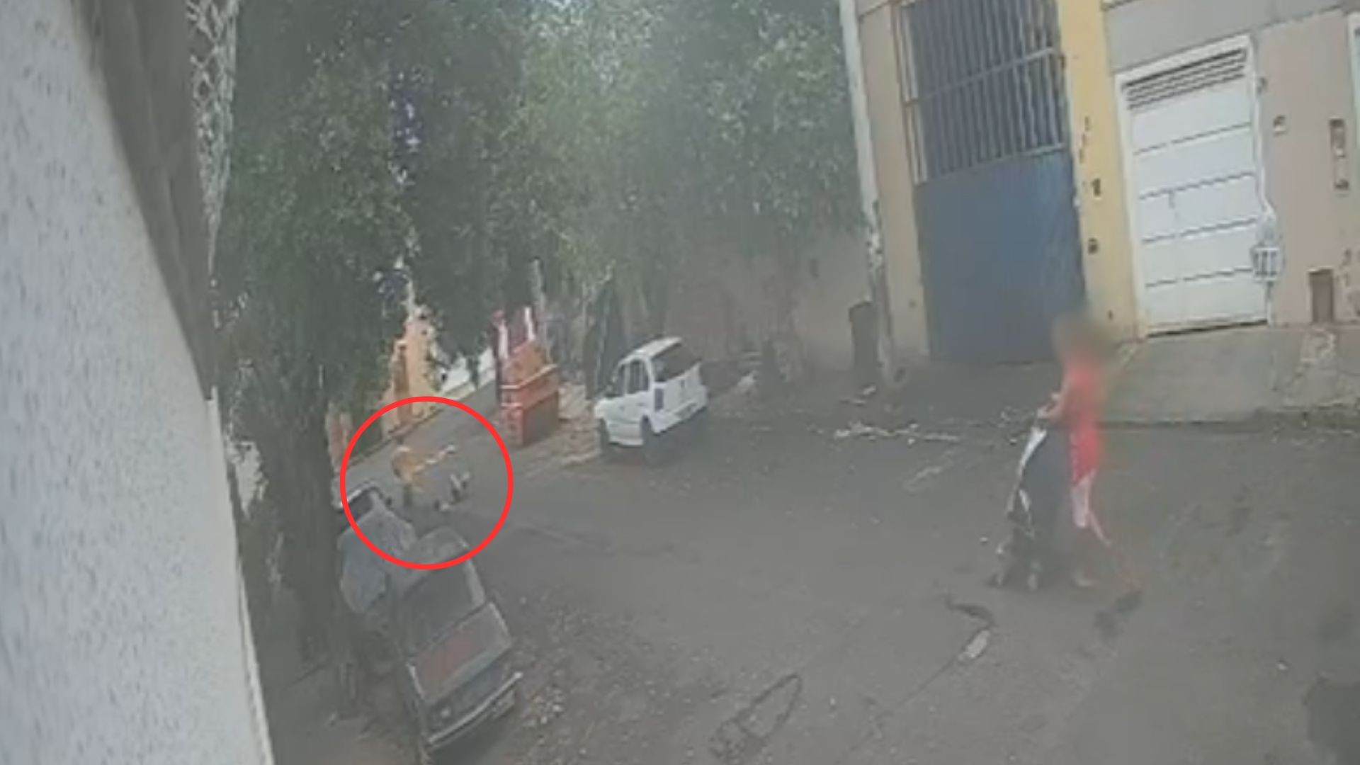 foto Not&iacute;cia Bebedouro